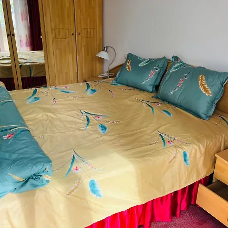4 * Timisoara